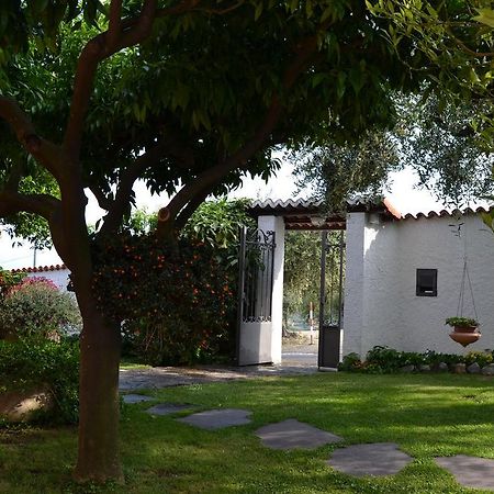 Azienda Agrituristica Villa Arianna Imperia Extérieur photo