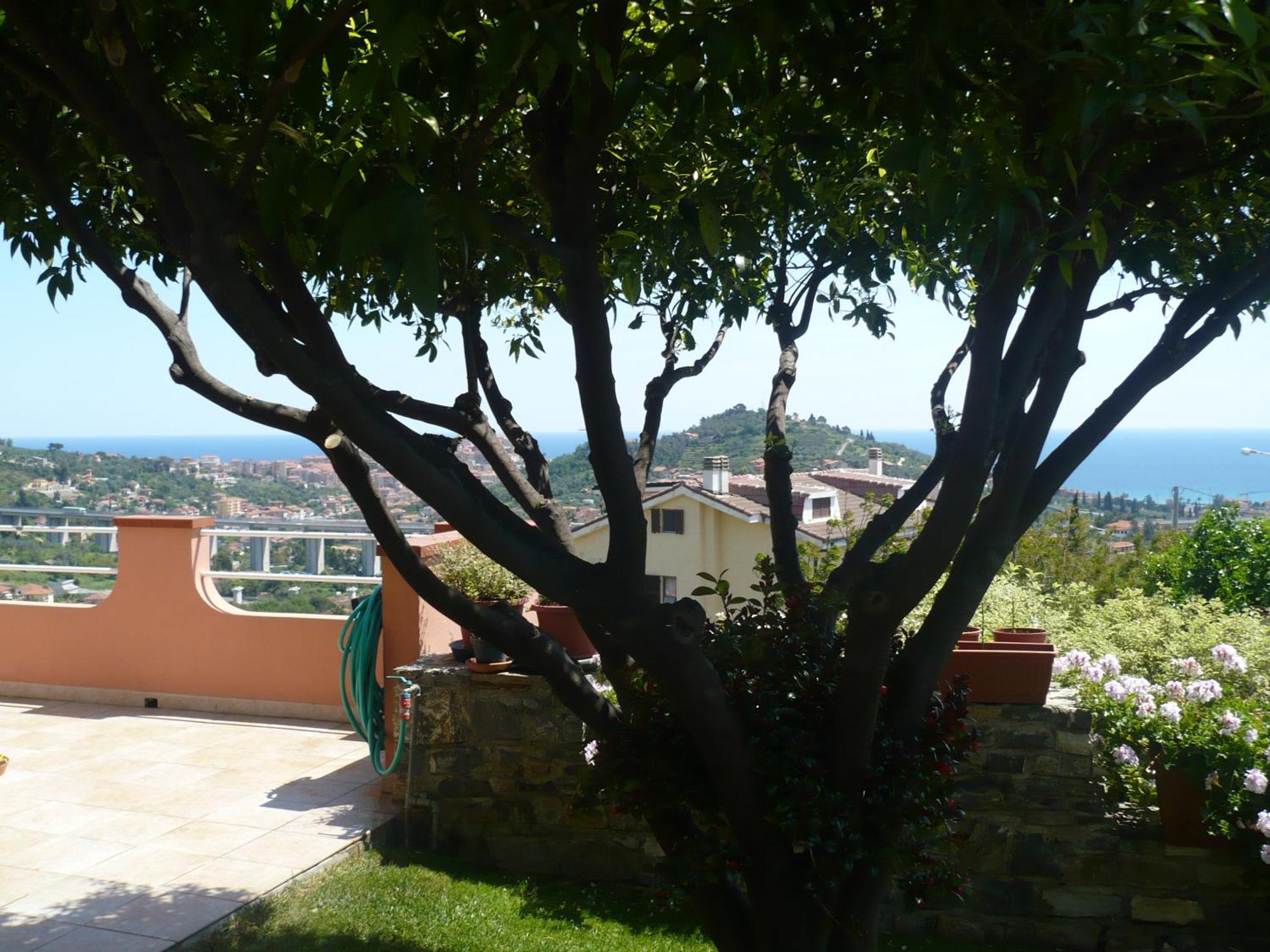 Azienda Agrituristica Villa Arianna Imperia Extérieur photo
