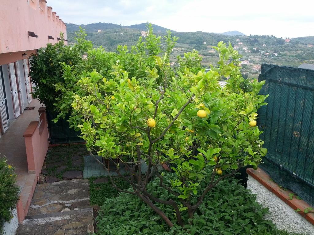 Azienda Agrituristica Villa Arianna Imperia Extérieur photo