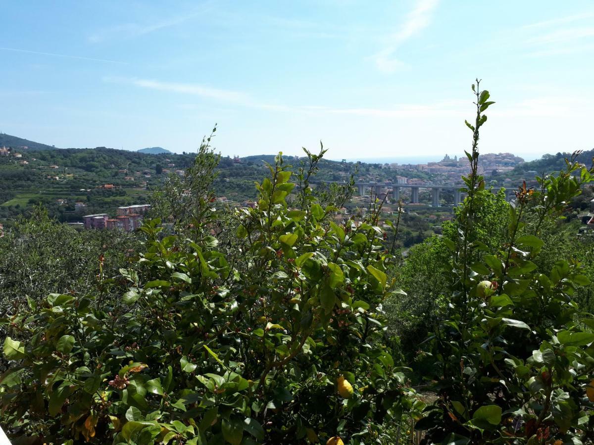 Azienda Agrituristica Villa Arianna Imperia Extérieur photo