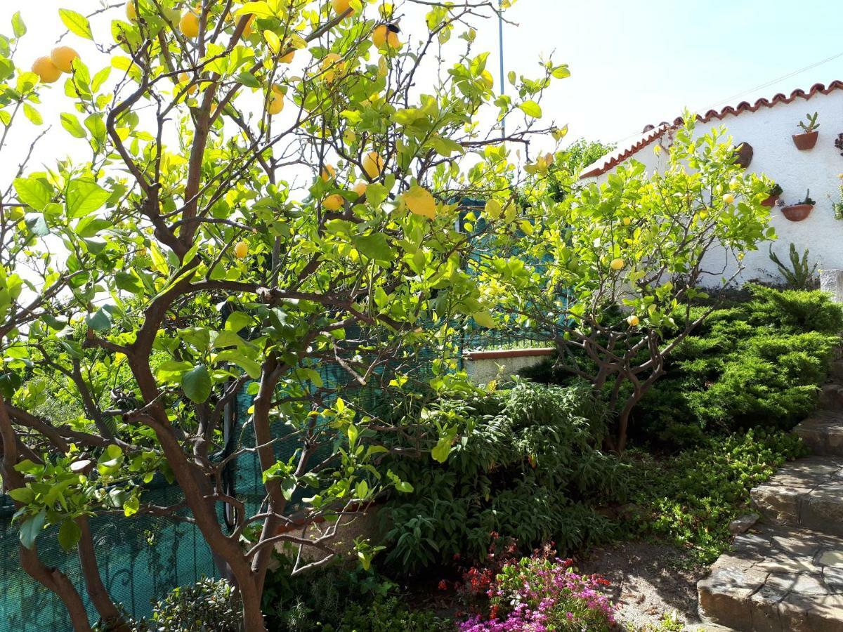 Azienda Agrituristica Villa Arianna Imperia Extérieur photo